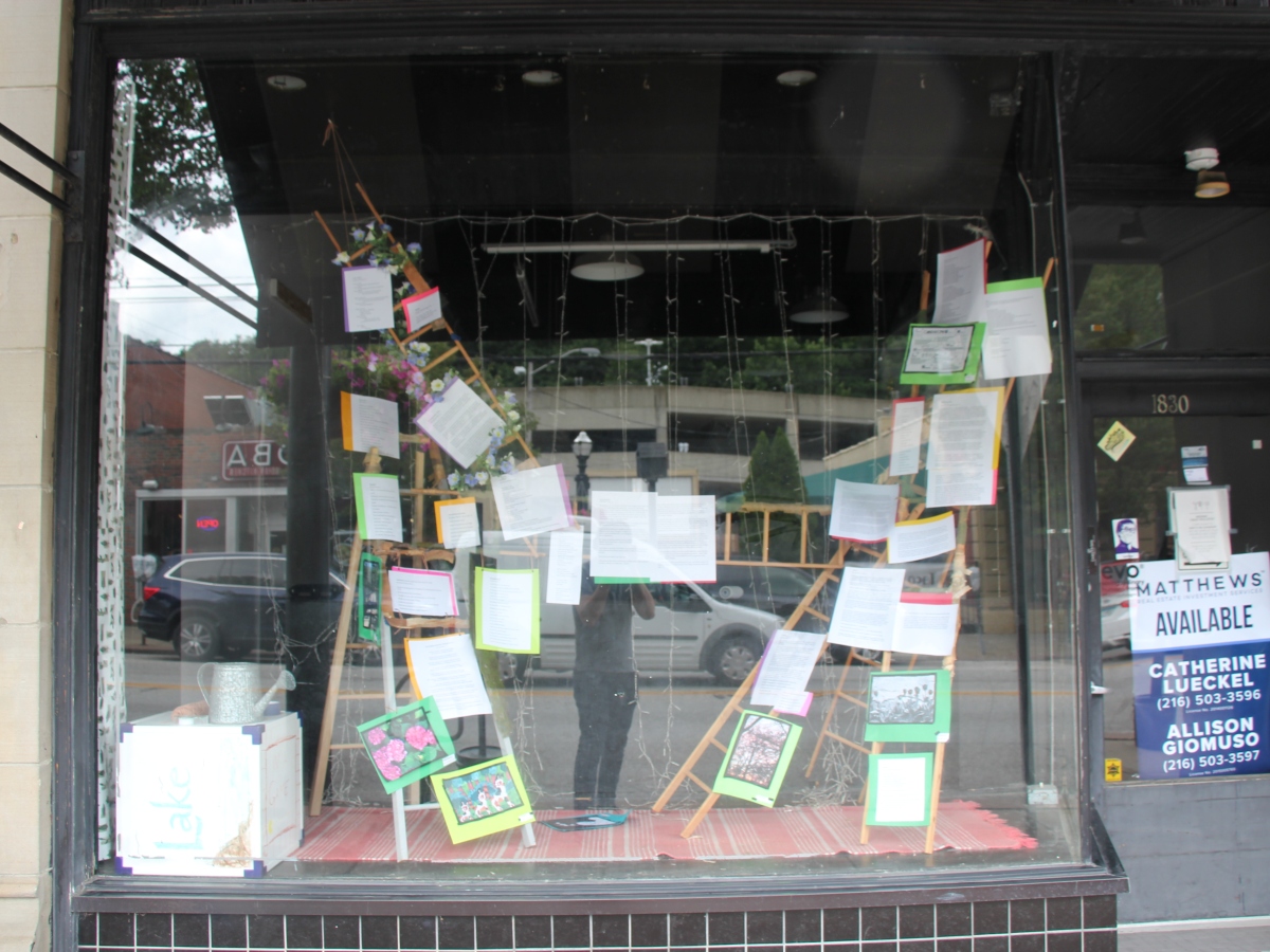Summer Creative Community Challenge: Growth is Closed, Storefront and Anthology under construction!